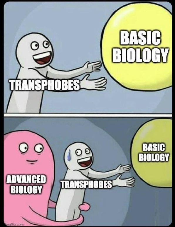 Un meme en dos viñetas. En la primera, un monigote etiquetado como "tránsfobo" trata de alcanzar un objeto llamado "Biología básica". En la segunda, una criatura mucho más grande, etiquetada como "biología avanzada" retiene al monigote, que tiene una expresión estupefacta.