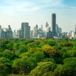 Bosque urbano