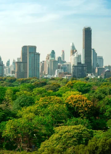Bosque urbano