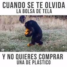 Meme. Un chimpancé carga con un montón de fruta. "Cuando se te olvida la bolsa de tela y no quieres comprar una de plástico"