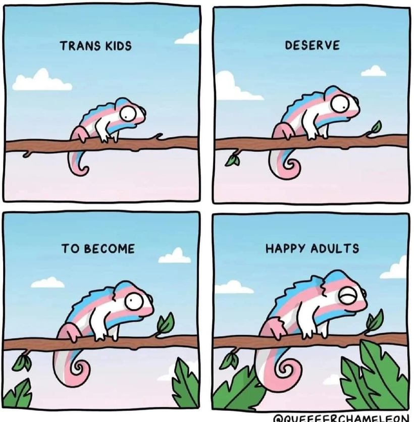 Cuatro viñetas. En cada una, un camaleon que va creciendo desde una cría hasta un adulto. En cada viñeta, un mensaje; "Los niños trans... merecen... convertirse... en adultos felices". En todas ellas, el camaleon lleva la coloración de la bandera trans.
