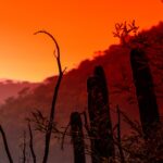 Desierto - vergerorichie vía Pixabay