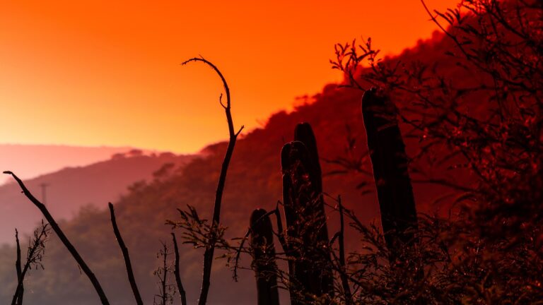 Desierto - vergerorichie vía Pixabay