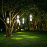 Árboles y plantas iluminados - Ilutop