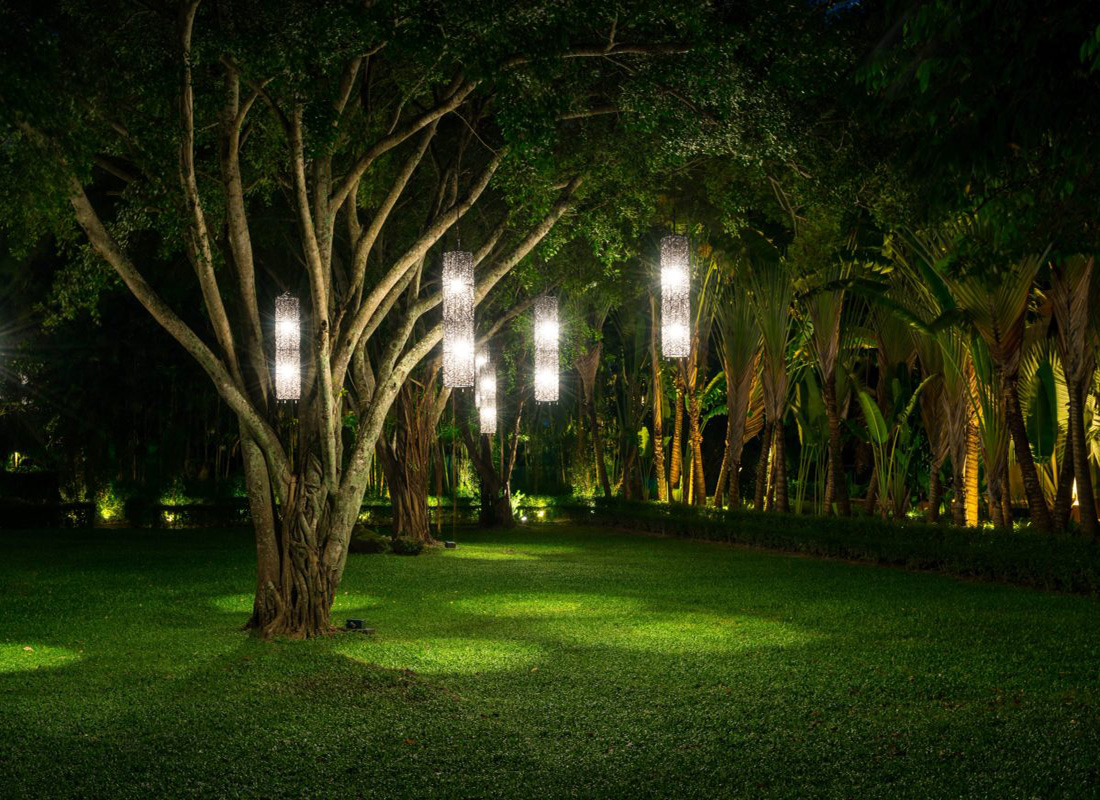 Árboles y plantas iluminados - Ilutop