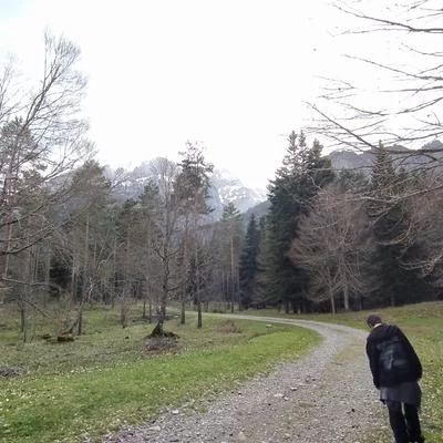 0===}::::::::::::::::::::::::>